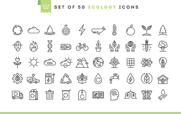 세트마다 50 생태학 아이콘, 여윔 선 스타일 - house residential structure cable sun stock illustrations
