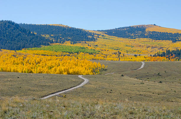 istock Mountainsides Full of Changing Aspen Trees 495911260