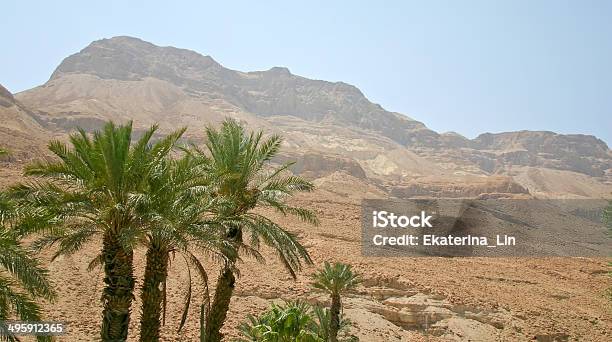 Foto de Paisagem Do Deserto Bíblico Cena e mais fotos de stock de Ajardinado - Ajardinado, Amarelo, Arbusto