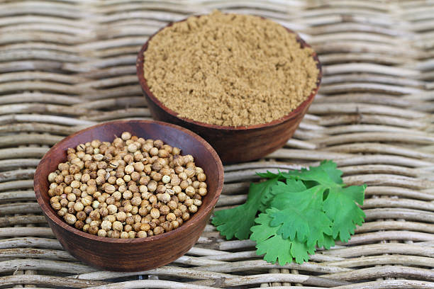 istock Coriander seeds, coriander powder and fresh coriander on wicker 495912407