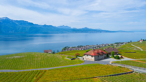 A small town on the shore of Lake Geneva. Vineyards and houses, architecture south Switzerland.