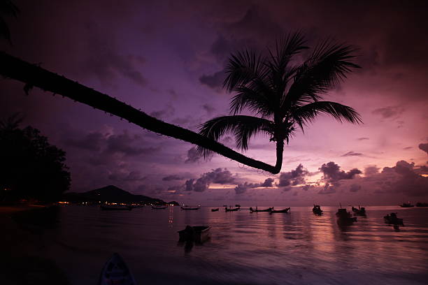 The beach of Hat Sai Ri on the island of Ko Tao in the Gulf of Thailand in the southwest of Thailand in South East Asia.