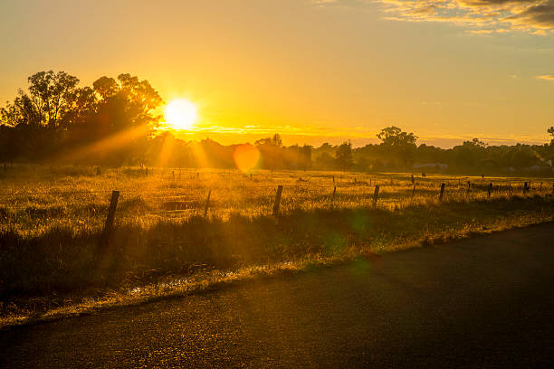 istock Road side The Horizon at Sunset 495915859