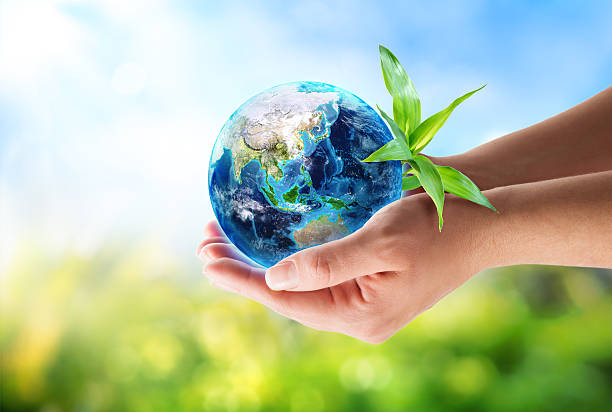 istock orient: China and Japan in hands - environmental concept 495915989