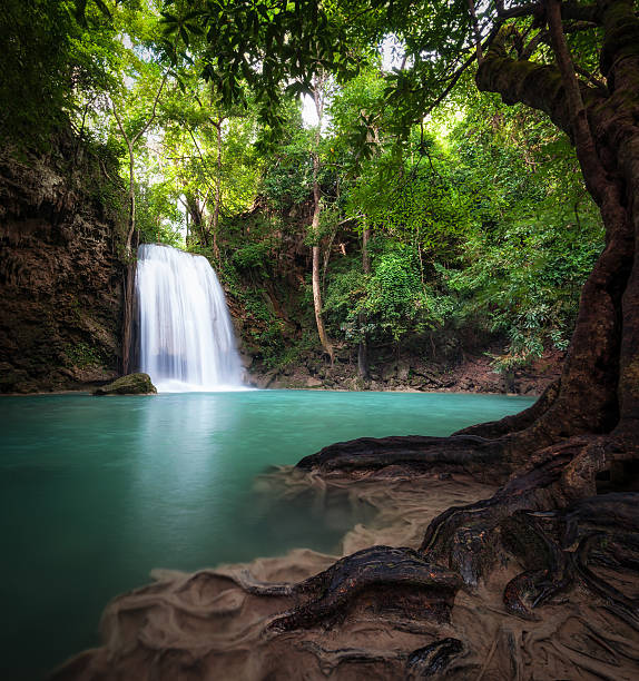 こんにちは 야외 사진학 of 워터풀 레인 정글 임산. - waterfall erawan tropical rainforest tree 뉴스 사진 이미지