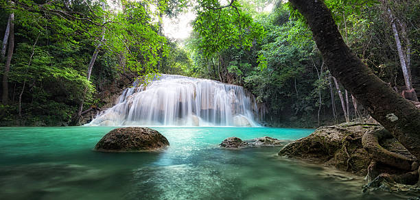 滝の景観を背景にしています。 美しい自然のパノラマ - waterfall erawan tropical rainforest tree ストックフォトと画像