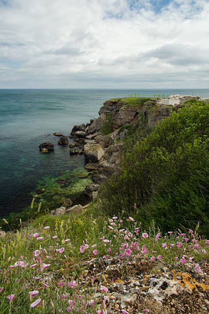 istock Yailata - natural and archeological preserve 495918347