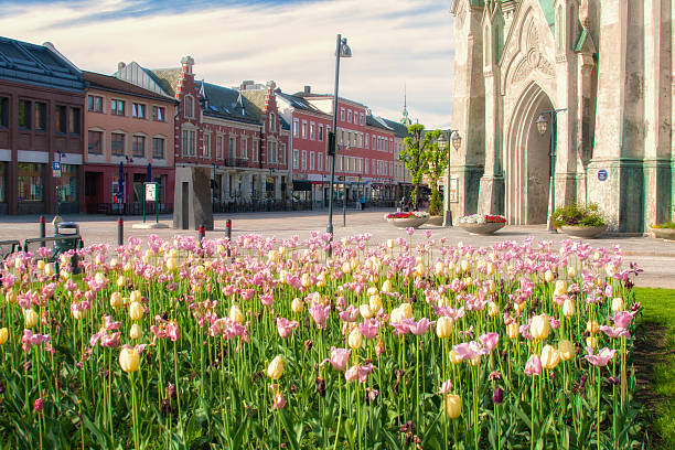 istock Photo taken in Norway 495918507