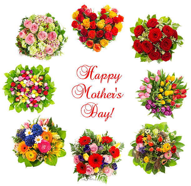 istock colorful flowers isolated on white background 495918523