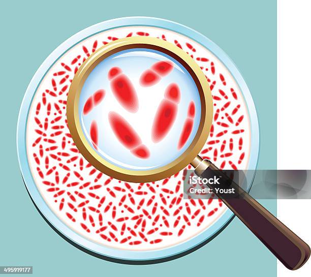 Batteri Patogeni Cultura - Immagini vettoriali stock e altre immagini di Illustrazione - Illustrazione, Piastra Petri, Resistente agli antibiotici