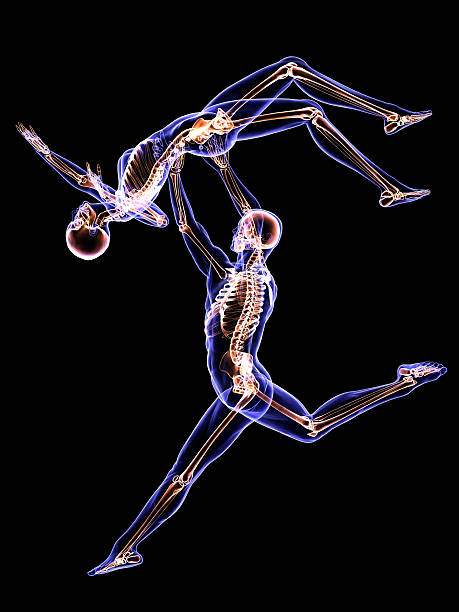 istock Anatomy of Modern Dancers 495919525