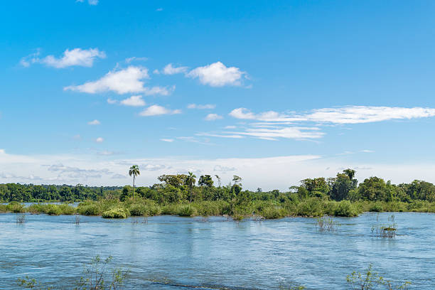 istock Parana River at Iguazu Falls 495920804