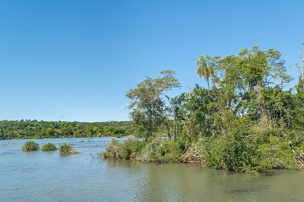 istock Parana River at Iguazu Falls 495920852