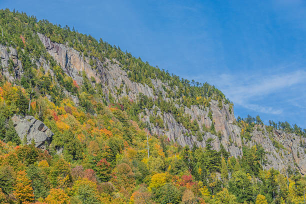 istock Autumn Colors Climbing Up A Cliff 495923490