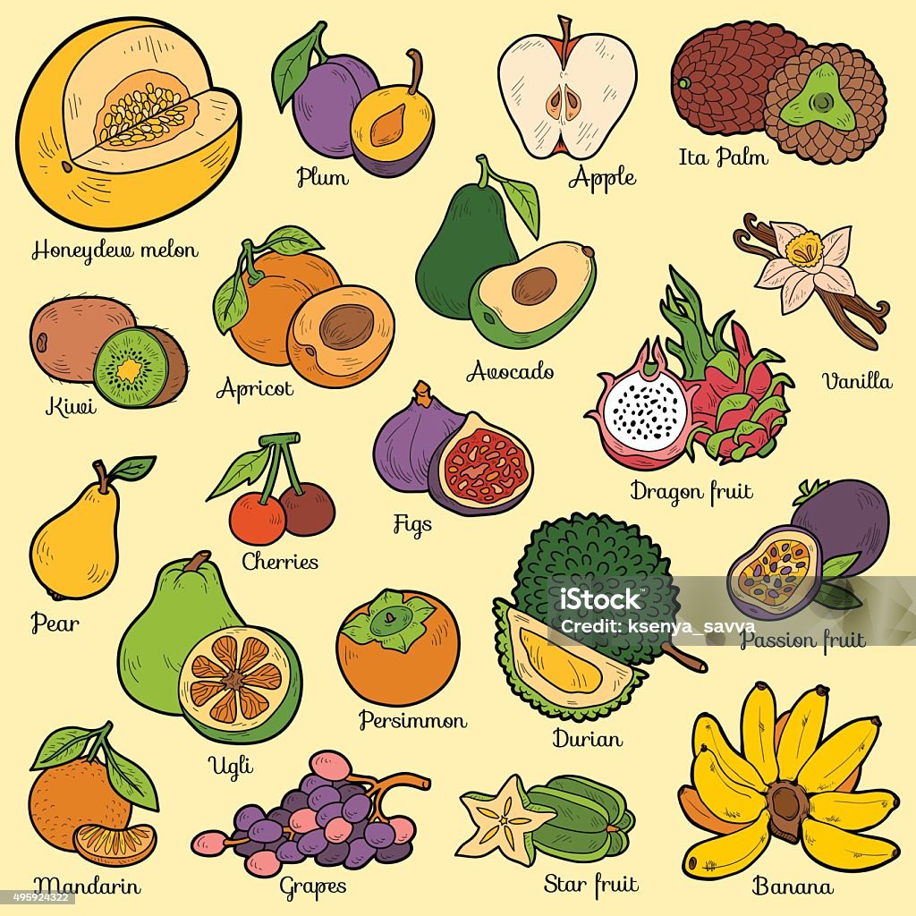 Color set with tropical fruits, vector cartoon stickers Color set with tropical fruits, vector cartoon stickers for children 2015 stock vector