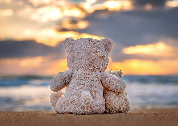 friendship-dois ursos de pelúcia segurando em uma's arms. - beach sunset sand wood - fotografias e filmes do acervo