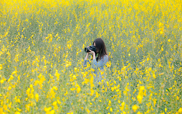 istock Traveler take a photo in Crotalaria Fields 495929002