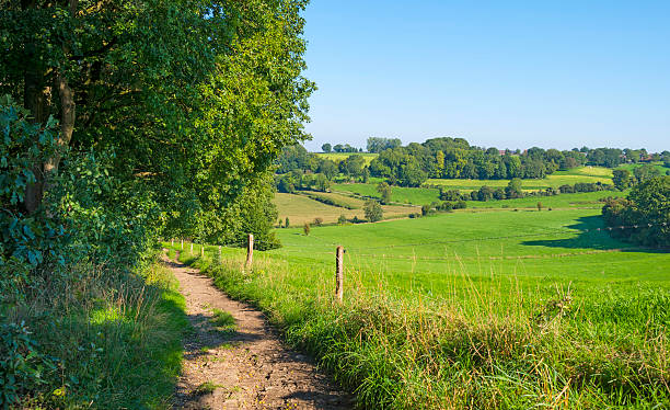 Panorama of a sunny green meadow on a hill stock photo