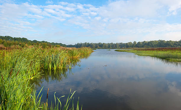 istock Shore of a lake below a blue cloudy sky 495951670