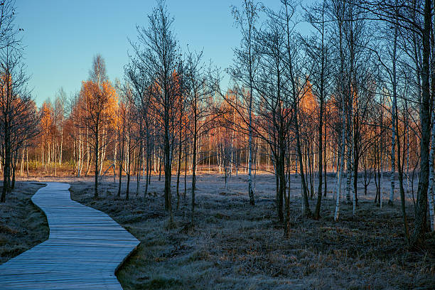 istock Frost and heat next to each other. 495951808