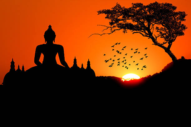 sonnenuntergang mit baum des buddha und pagode bird - contemplation sunset eternity thinking stock-fotos und bilder