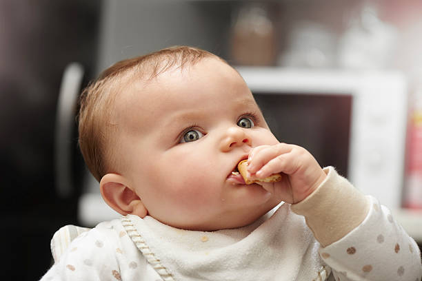 istock Baby boy enjoying a healthy snack 495953796