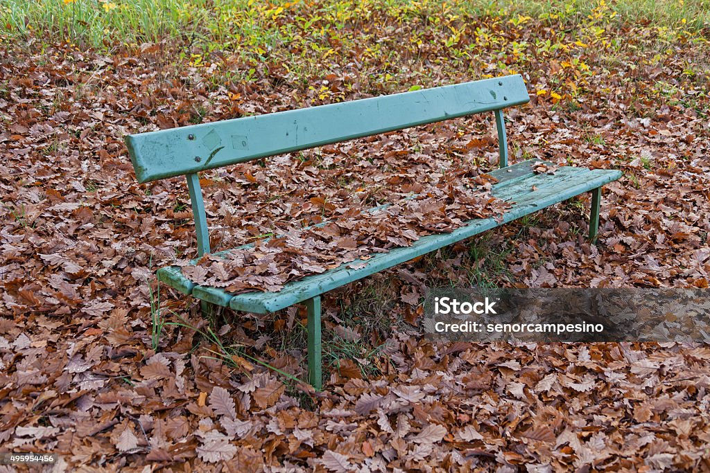 Park bench Park bench in an autumnal forest covered with oak leaves. 2015 Stock Photo