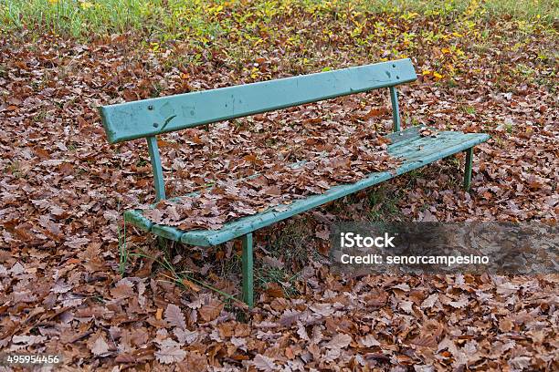 Park Bench Stock Photo - Download Image Now - 2015, Autumn, Bench