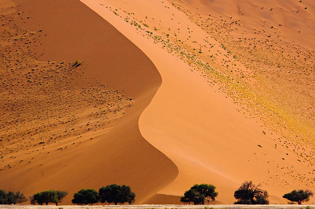 kuvapankkikuvat ja rojaltivapaat kuvat aiheesta punainen dyyniharju - sand mountain