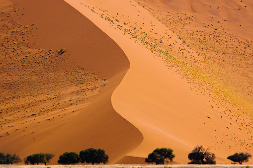 red dune ridge in the Namib desert