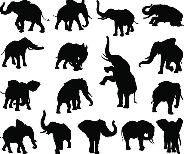 elephant tierischen silhouetten - elefant stock-grafiken, -clipart, -cartoons und -symbole