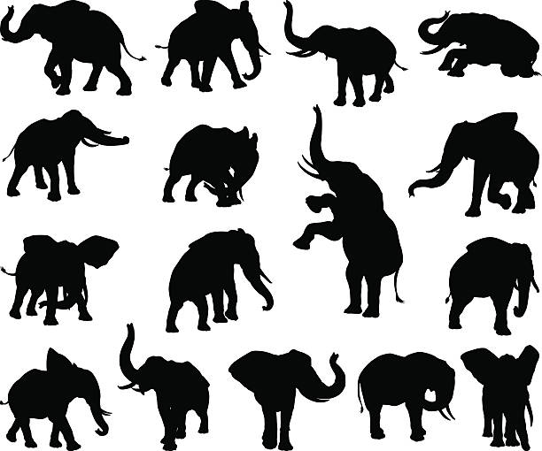 Elephant Animal Silhouettes A set of elephant animal silhouettes in various poses safari animal clipart stock illustrations