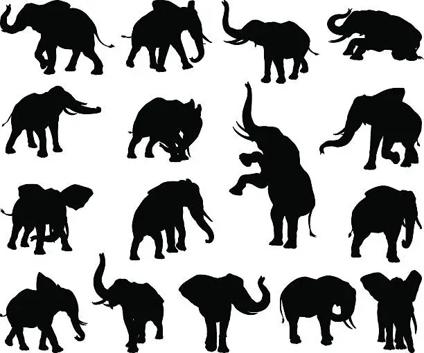 Vector illustration of Elephant Animal Silhouettes