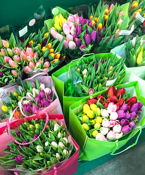 istock colorful tulips bouquet close up 495958274