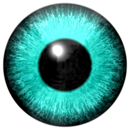 Realistic eye illustration texture white background