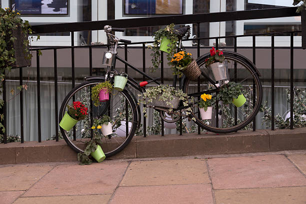 istock Flowers on a bike 495961502