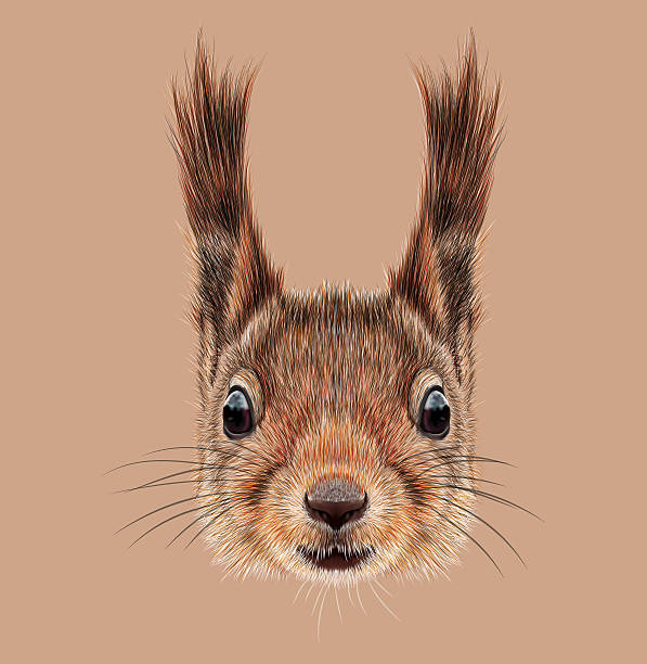 istock Illustrated Portrait of Squirrel 495963088
