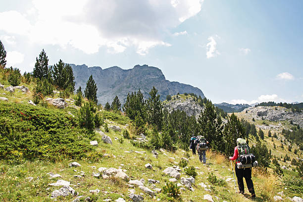 istock Group of people hiking 495963520