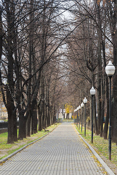 istock linden_alley 495976050