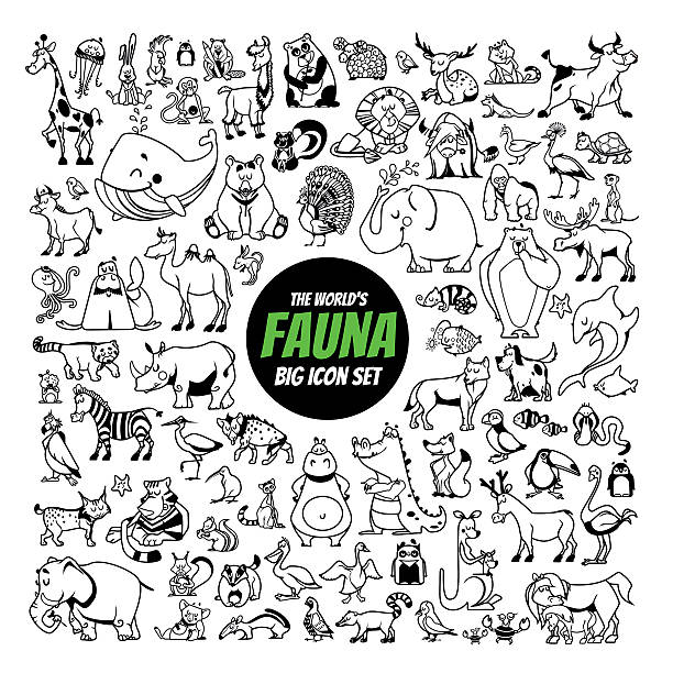 Set Of Blackandwhite Animals Of The World Stock Illustration - Download Image Now - Animal, Line Art, Black And White - iStock Set Of Blackandwhite Animals Of The World Stock Illustration - Download Image Now - Animal, Line Art, Black And White - iStock
