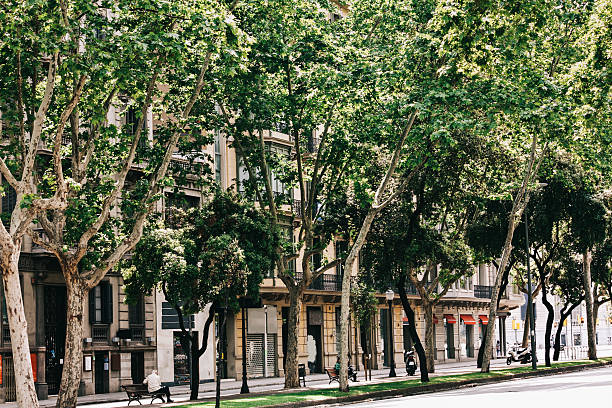 istock barcelona architecture, tourism travel destination 495981156