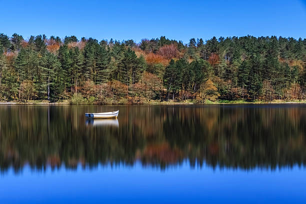 Tranquil view of Granestausee, a reservoir in Harz Mountains National Park, Germany