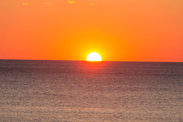 istock Enjoying the sea/ocean. 495983044
