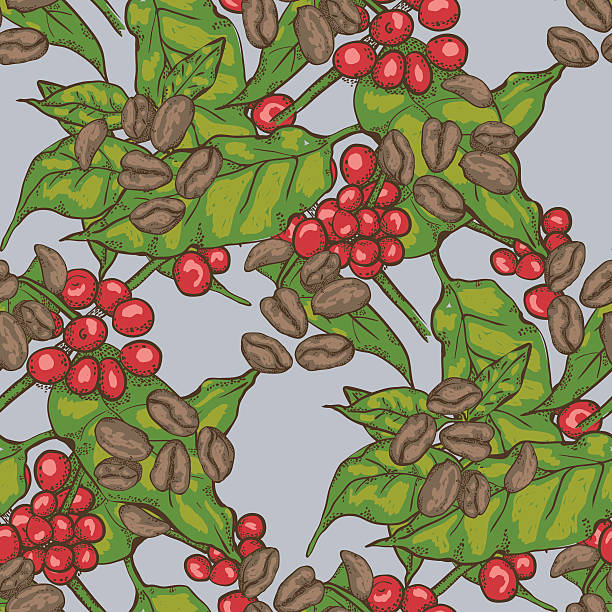 ilustrações, clipart, desenhos animados e ícones de sem costura padrão com plantas e grãos de café - backgrounds bean drink caffeine