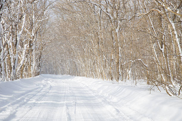 winter road - winterroad stock-fotos und bilder