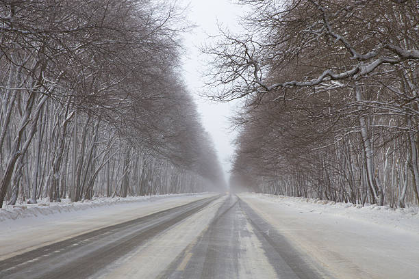 winter road - winterroad stock-fotos und bilder