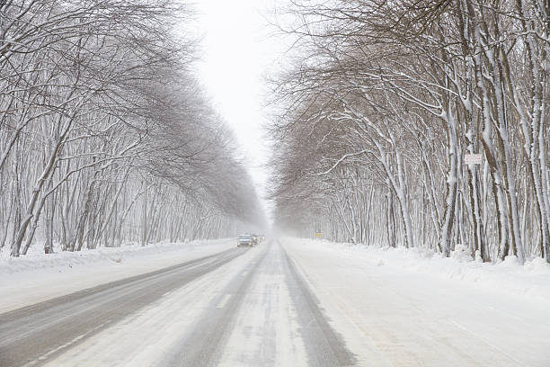 winter road - winterroad стоковые фото и изображения