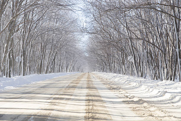 winter road - winterroad стоковые фото и изображения