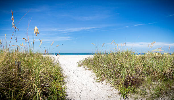 istock sunny beach with sand dunes and blue sky 495989680