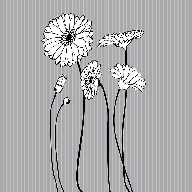 hand drawn wildblumen auf grauem hintergrund. - flower floral pattern spring computer graphic stock-grafiken, -clipart, -cartoons und -symbole